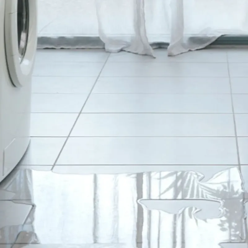 Appliance Leak Cleanup in Ashland, NH
