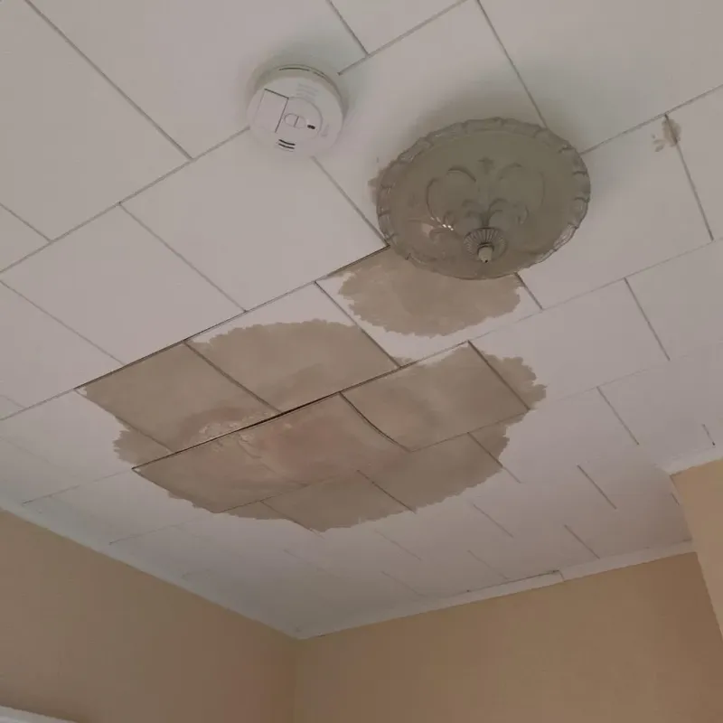 Ceiling Water Damage Repair in Ashland, NH