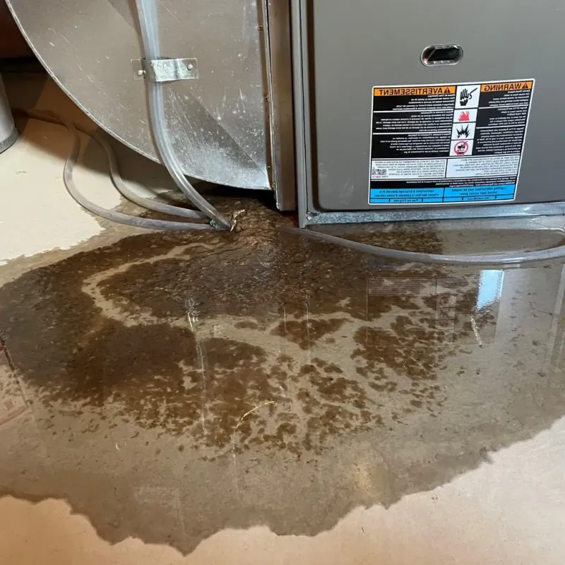 Pipe Burst and Leak Restoration in Ashland, NH