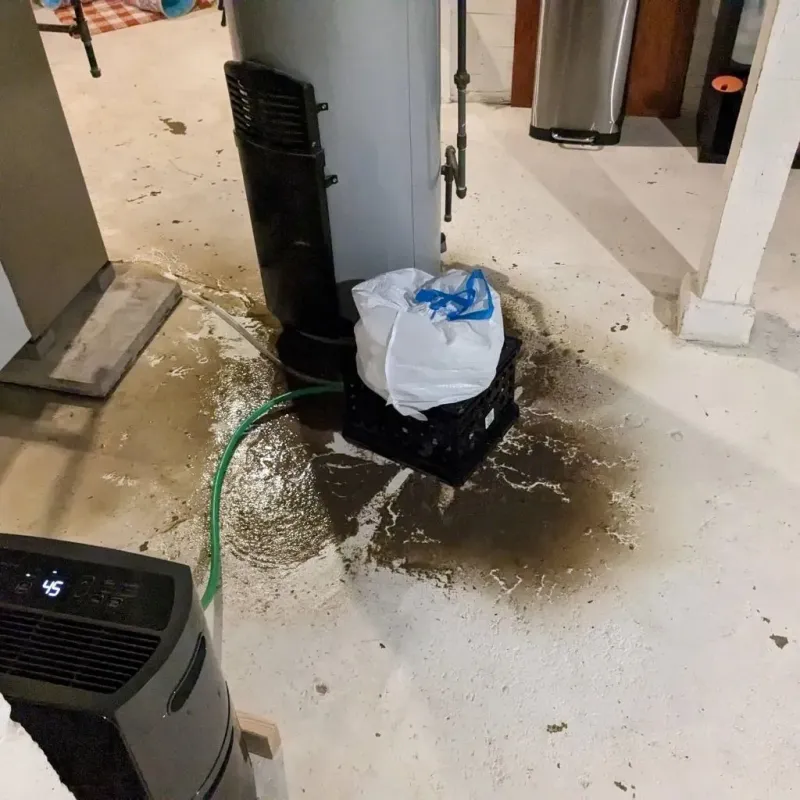 Sewage Backup Cleanup Service in Ashland, NH